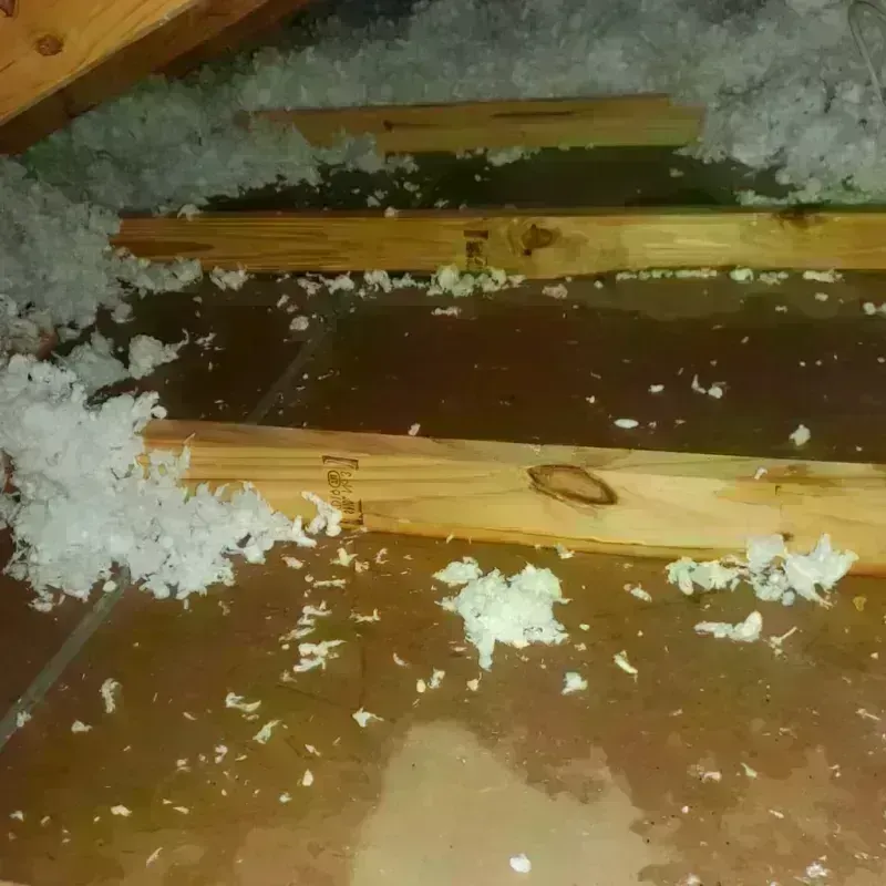 Attic Water Damage in Dillingham, AK