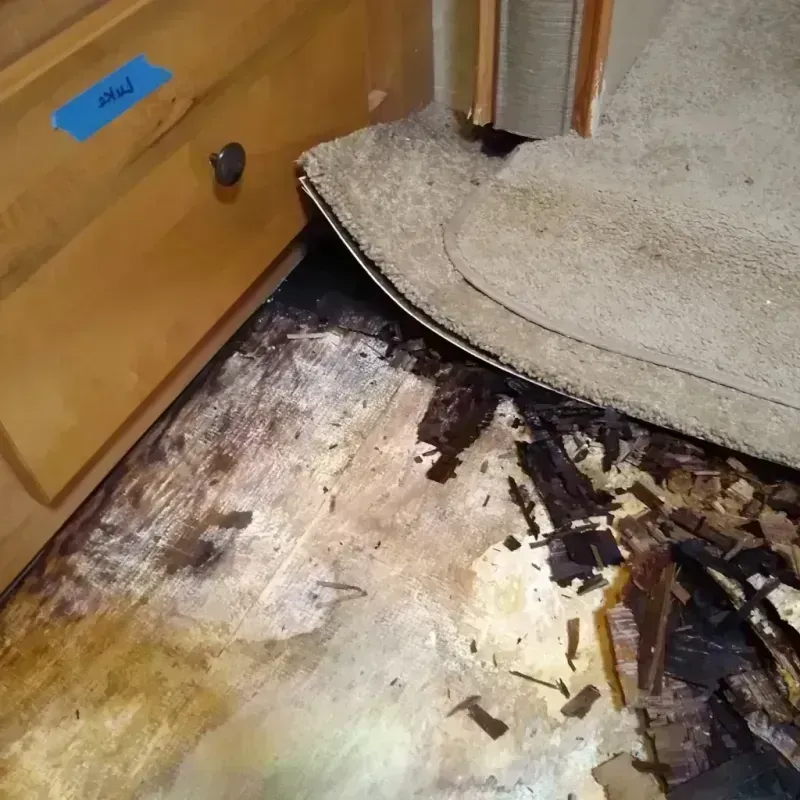 Wood Floor Water Damage in Dillingham, AK